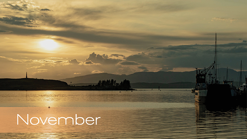 Photo Calendar Competition – November's  Winning Entry!